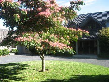 Heron Hill Hotel Kerikeri Exterior photo